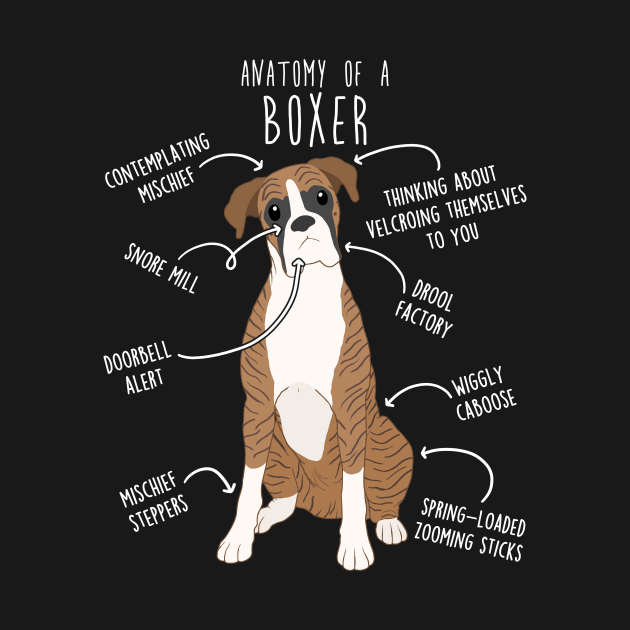 Boxer Dog Brindle Anatomy by Psitta