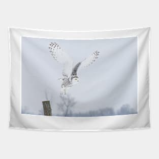 Snowy Owl in flight Tapestry