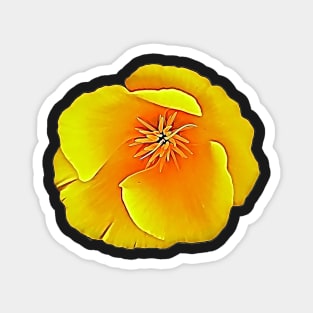 California State Flower Golden Poppy Eschscholtzia Californica Pattern Magnet