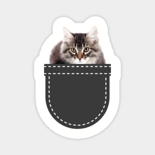 Cat in Pocket (Siberian Cat) Magnet