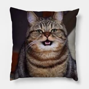 Brown cute cats Pillow