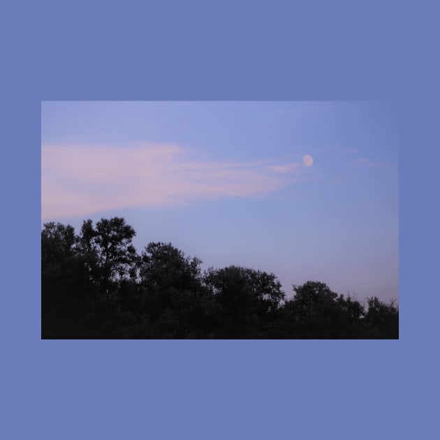 Summer Moon over the Lake by Peaceful Prairie Photography