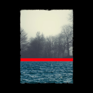 Forests and Woodlands