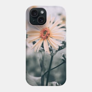 Cup Plant. Yellow Flower Photograph Phone Case