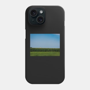 Corn Field Phone Case