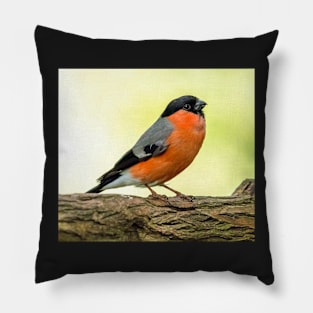 MALE BULLFINCH IN THE UK Pillow