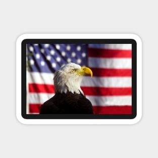 American Eagle Magnet