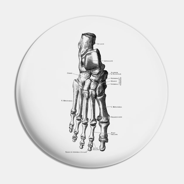 Right Foot Skeletal Diagram - Vintage Anatomy Pin by Vintage Anatomy Prints