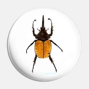 Bombardier Beetle Pin