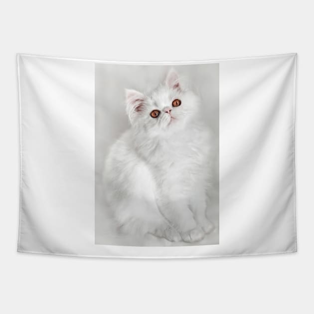 George on White Tapestry by micklyn