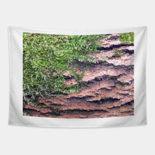 Moss and Wood Texture Tapestry