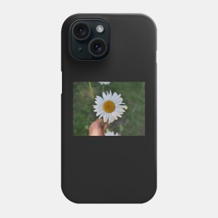 Daisy flower with its yellow disk Phone Case