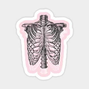 Anatomical Ribcage •  Pastel Goth Magnet