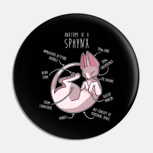 Sphynx Cat Anatomy Pin by Psitta