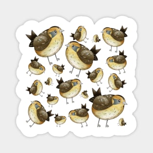 Carolina Wren Pattern Magnet