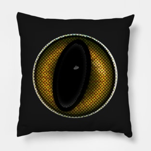 A Portal to Nowhere Pillow