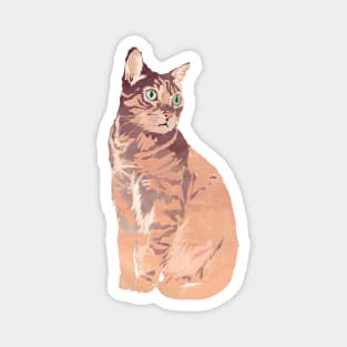 Pretty In Pale Pink Kitty Cat Magnet