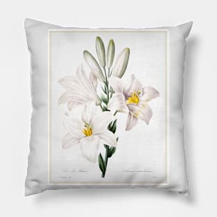 Madonna Lily from Choix des plus belles fleurs (1827) Pillow