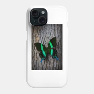 Green Blue Butterfly Resting On Tree Phone Case