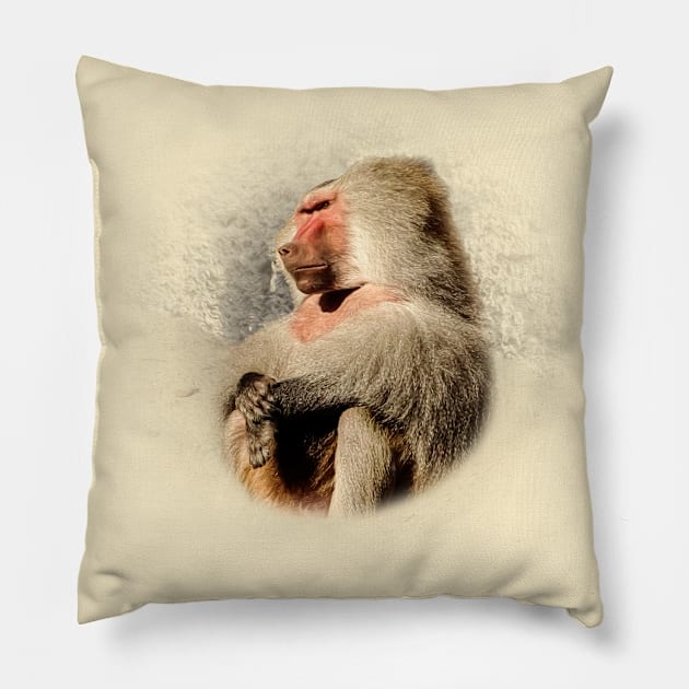 Baboon Pillow by Guardi