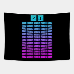 Pi Chart (Blue Pink) Tapestry