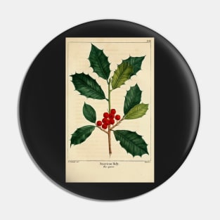 christmas post card mistletoe berries green american holly Pin