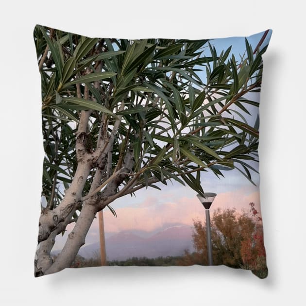 Sunset in a park Pillow by Stephfuccio.com