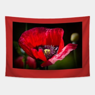 Artistic Poppy Tapestry