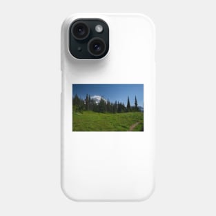 850_4602 Phone Case