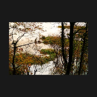 Autumn Trees In Water Logged Wetland T-Shirt