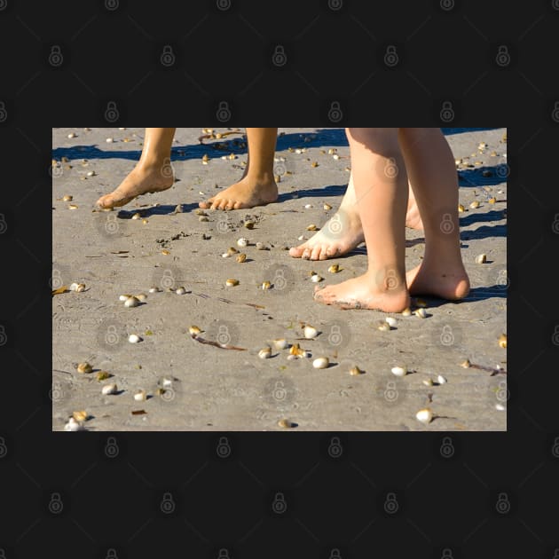 Toes and sea-shells on the sand by clearviewstock