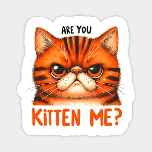 Are you kitten me Funny Cat Quote Hilarious Sayings Humor Gift Magnet