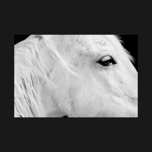 Portrait of White Horse T-Shirt