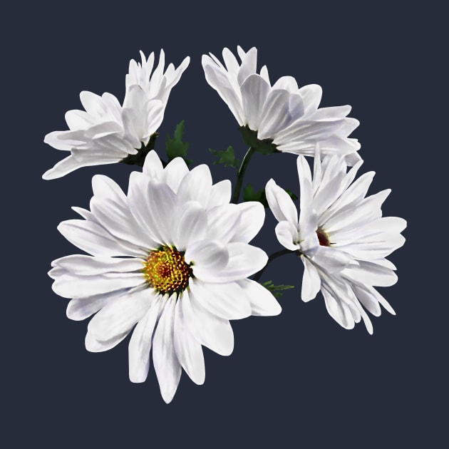 Circle of White Daisies by SusanSavad