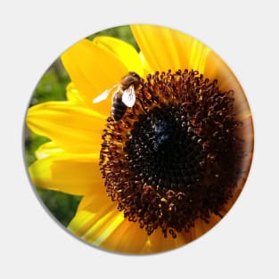 Sunflower and honeybee Pin