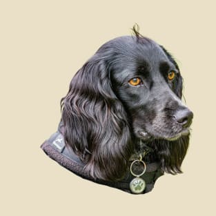 Black Cocker Spaniel T-Shirt