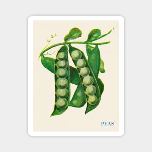 Illustration of Peas (1915) Magnet