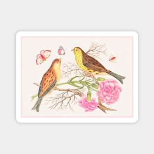 Two Brown and Yellow birds on Branches with Carnations (18th Century) Magnet