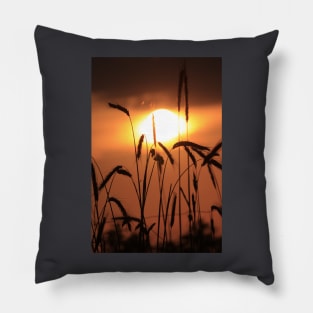 Kansas Wheat silhouette at Sunset Pillow