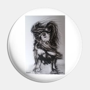 Dog on a 'Windy day' Pin