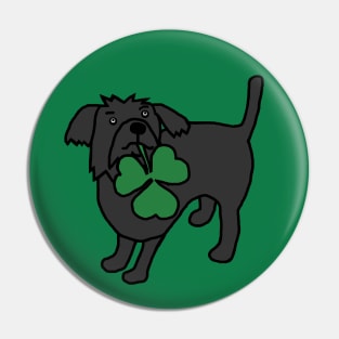 St Patricks Day Dog with Shamrock Pin