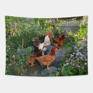 The rooster and his hens Tapestry