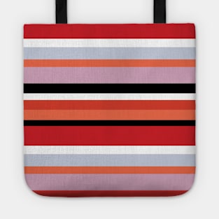 Colorful stripes Tote