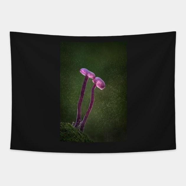 Amethyst Deceivers Tapestry by TonyNorth