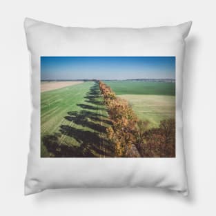 Alley of autumn trees among green fields in countryside Pillow