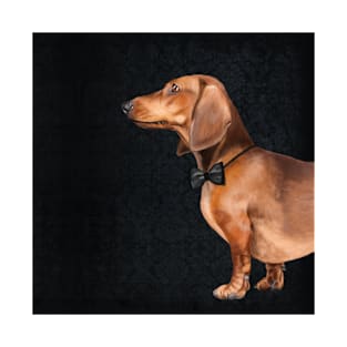 Mr Dachshund T-Shirt