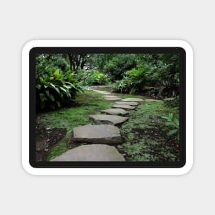 Stepping Stones in a Japanese Garden Magnet