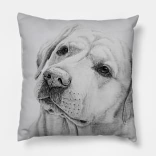 Labrador retriever - yellow Pillow