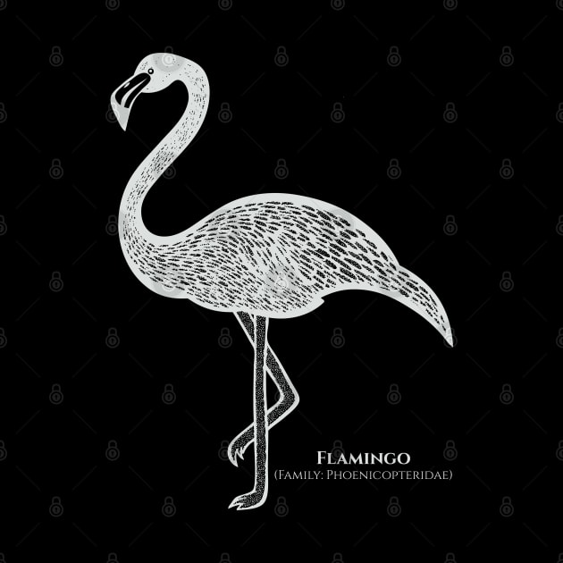 Flamingo with Common and Scientific Names - design for flamingo lovers by Green Paladin