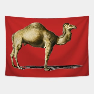 Vintage camel-animilia Tapestry